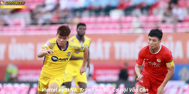 Viettel vs SLNA: Trận Sinh Tử, Cơ Hội Vẫn Còn